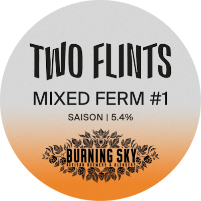 4234 Mixed Ferm 1 craft beer 01 thumb 1a.png